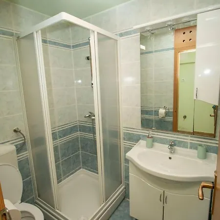 Apartment Perkusic *